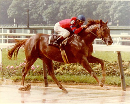 Alydar